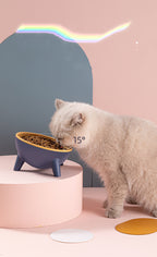 Pet Food Bowl with Stand for Cats & Dogs