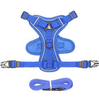 Anti-Breakaway Cat Leash Chain