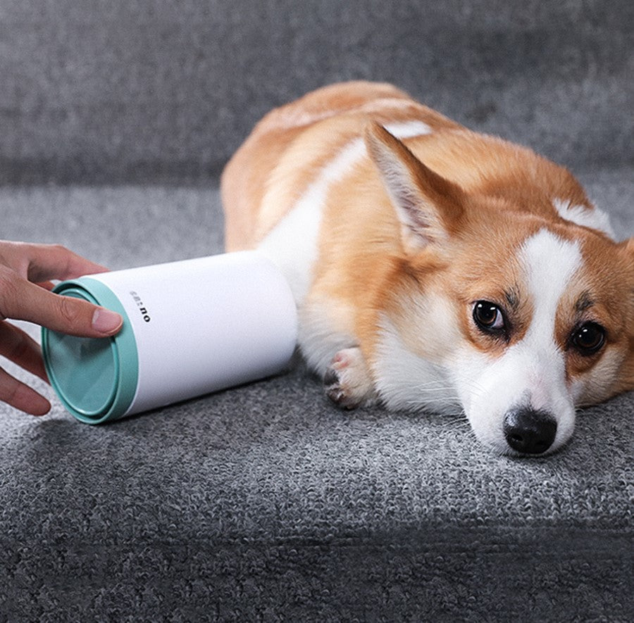 Automatic Pet Paw Cleaner