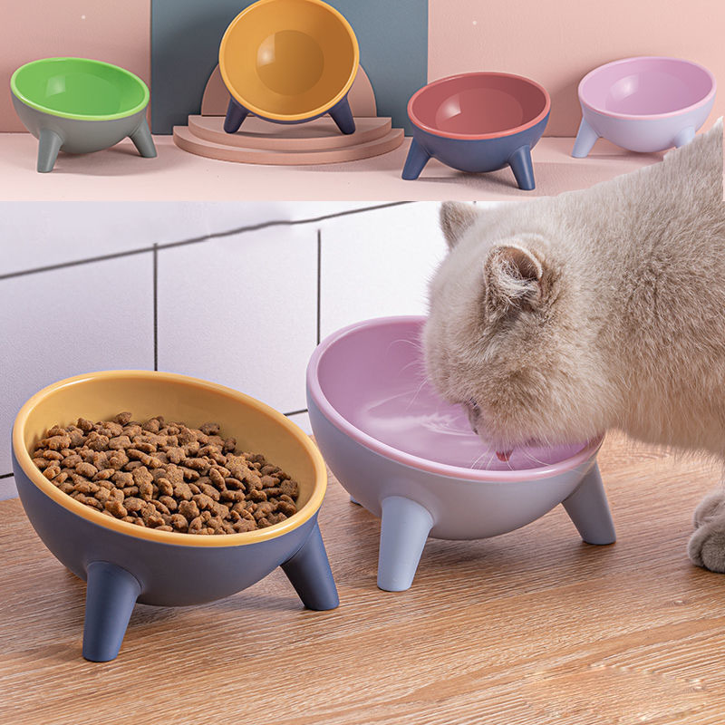 Pet Food Bowl with Stand for Cats & Dogs