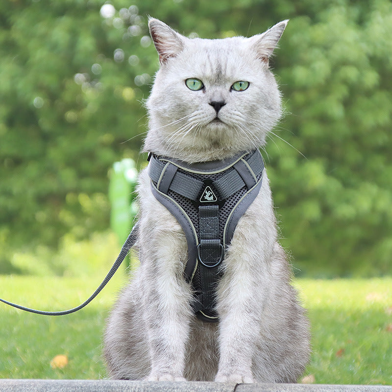 Anti-Breakaway Cat Leash Chain
