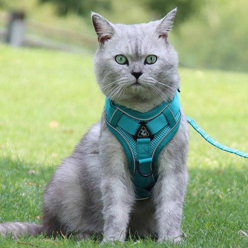 Anti-Breakaway Cat Leash Chain