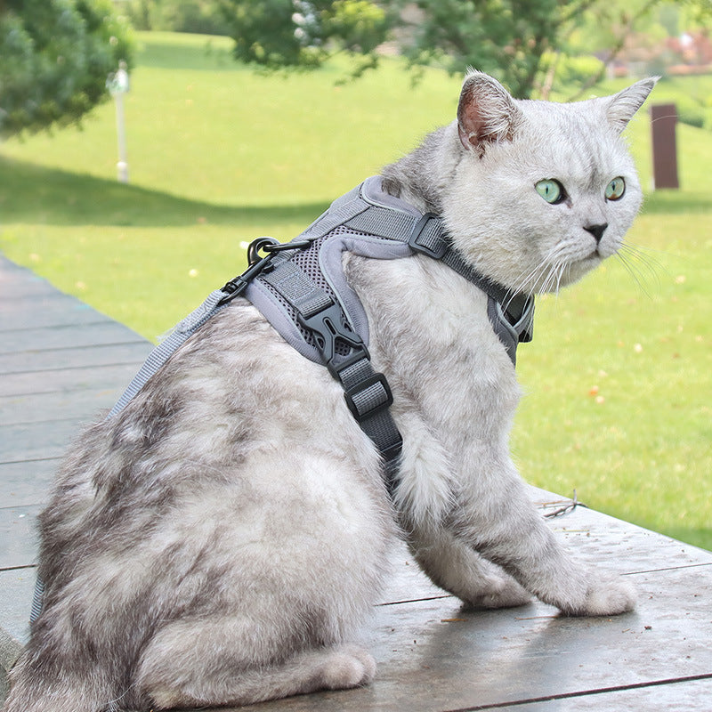 Anti-Breakaway Cat Leash Chain